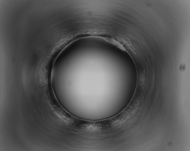 X0000100870303200806201247