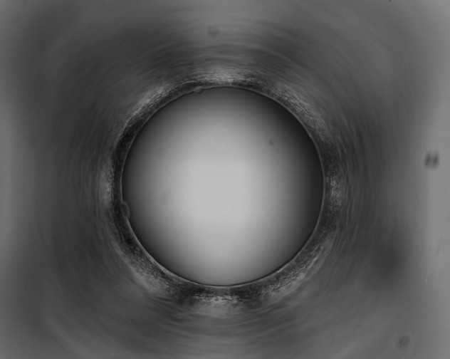 X0000100870304200806201247