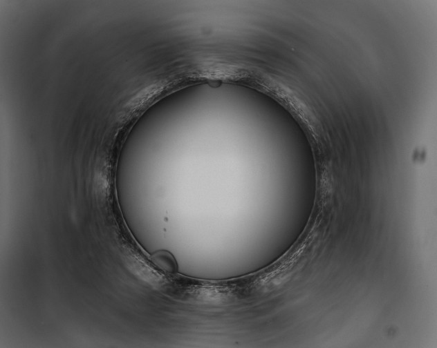 X0000100870305200806201247