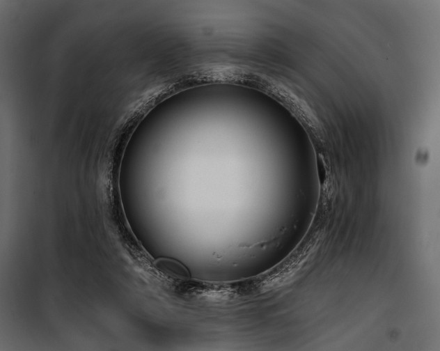 X0000100870306200806201247