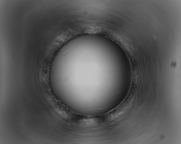 X0000100870307200806201247