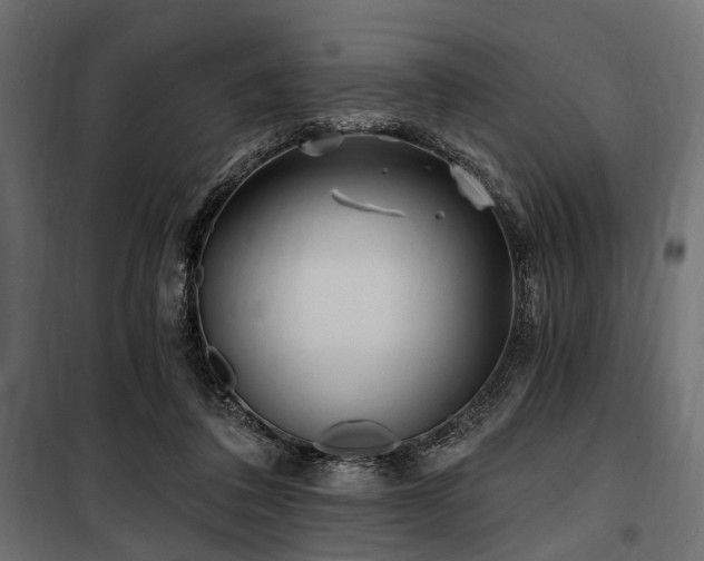 X0000100870308200806201247