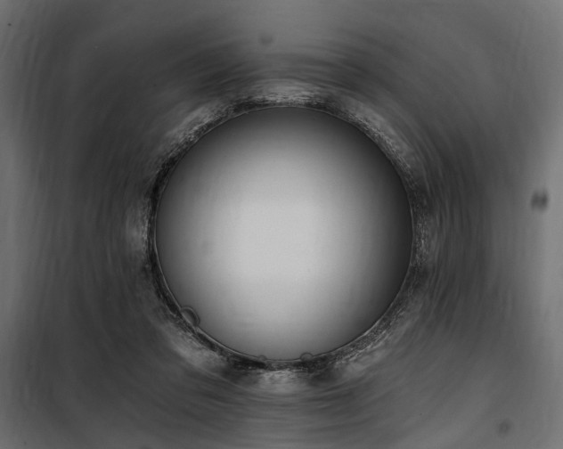 X0000100870309200806201247