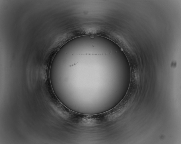 X0000100870311200806201247