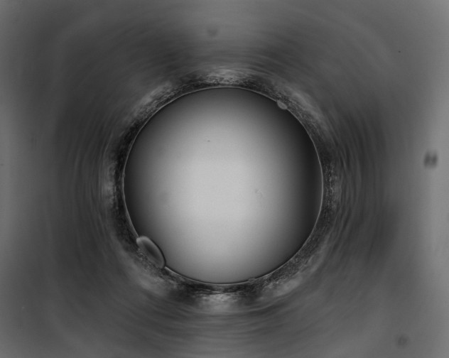 X0000100870312200806201247