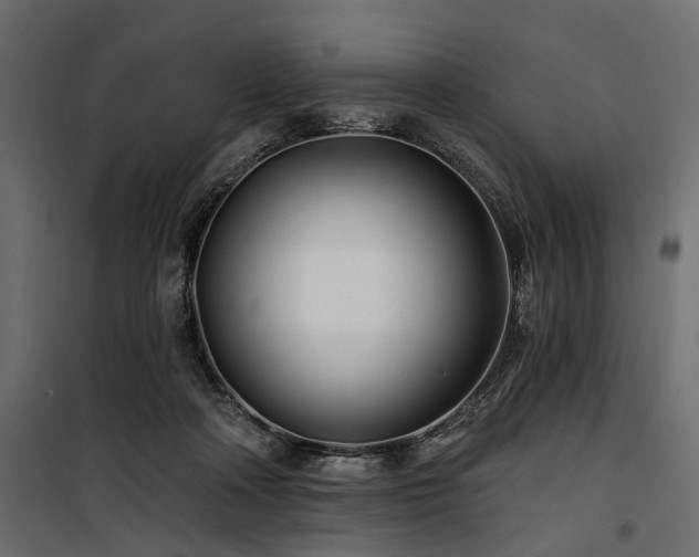 X0000100870314200806201247