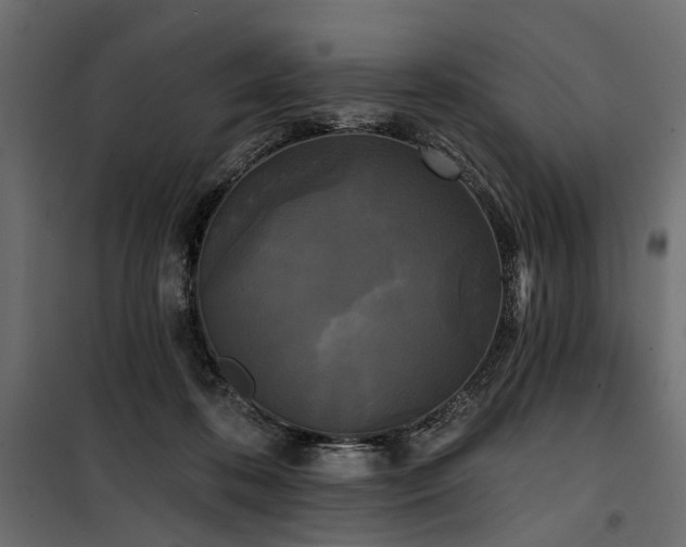 X0000100870316200806201247