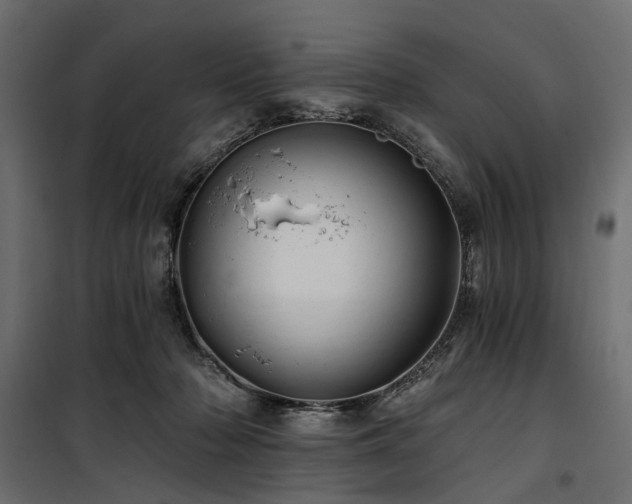 X0000100870318200806201247