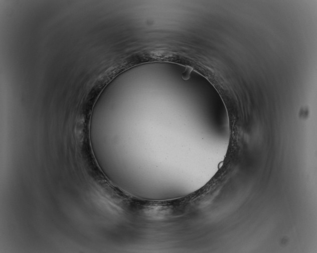 X0000100870319200806201247