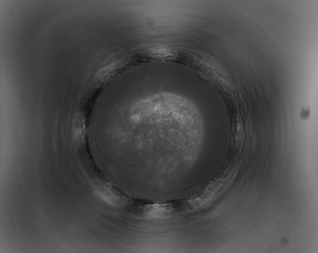 X0000100870320200806201247