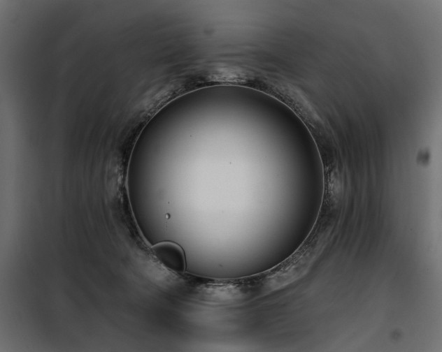X0000100870322200806201247