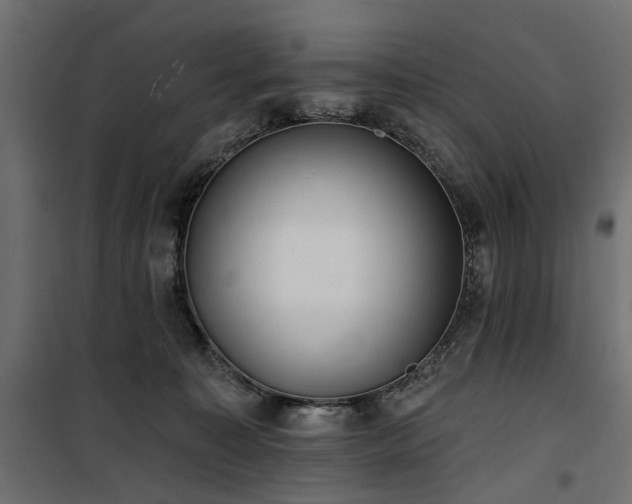 X0000100870323200806201247