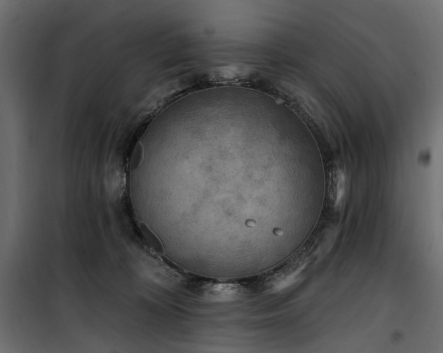X0000100870324200806201247