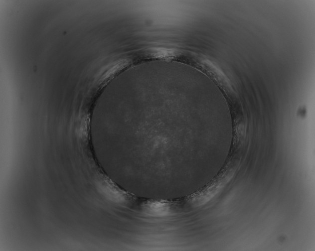X0000100870325200806201247