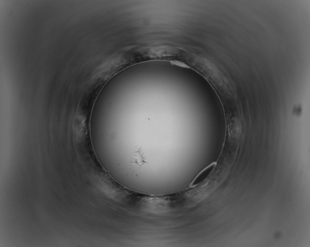 X0000100870327200806201247