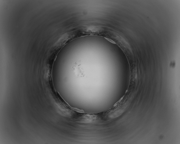 X0000100870328200806201247