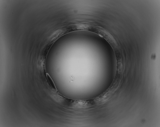 X0000100870329200806201247