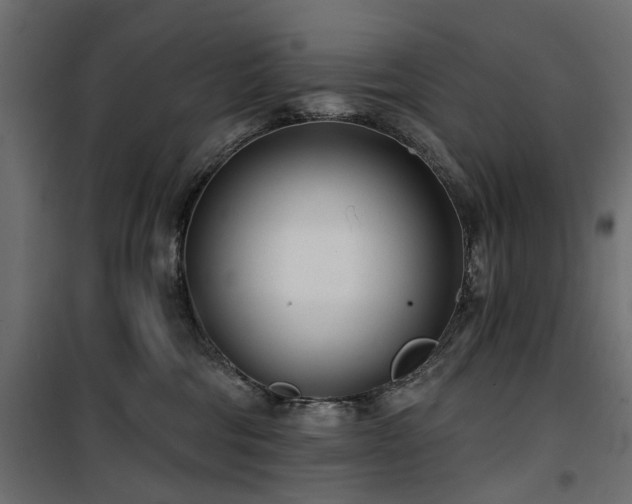 X0000100870330200806201247