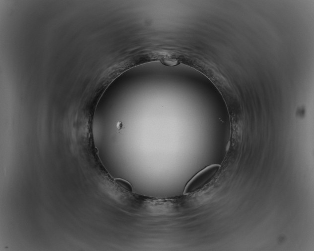 X0000100870331200806201247