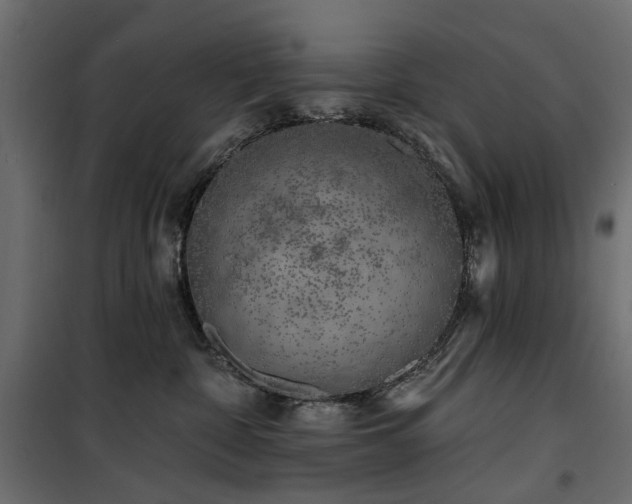 X0000100870332200806201247