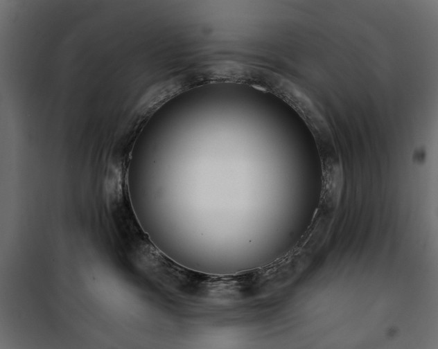 X0000100870333200806201247