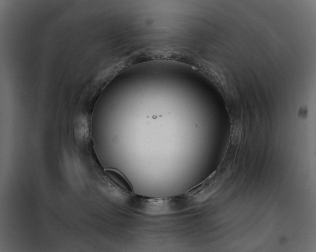 X0000100870335200806201247