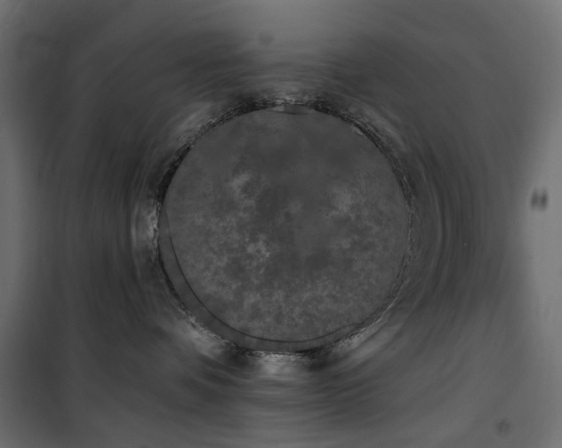 X0000100870336200806201247