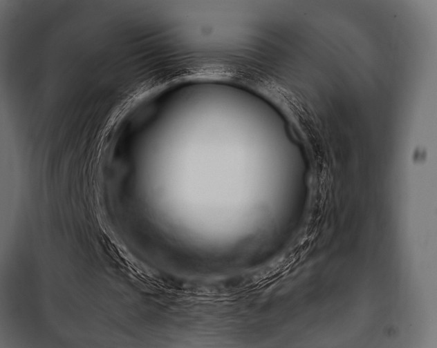 X0000100870337200806201246