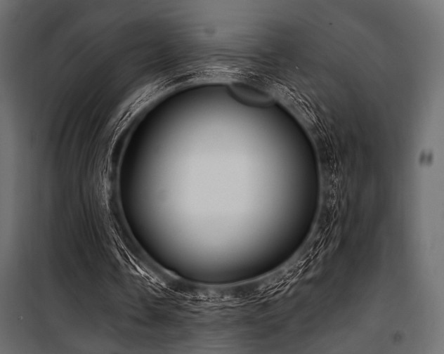 X0000100870338200806201246