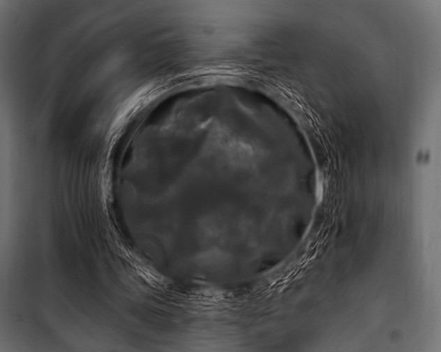 X0000100870339200806201246