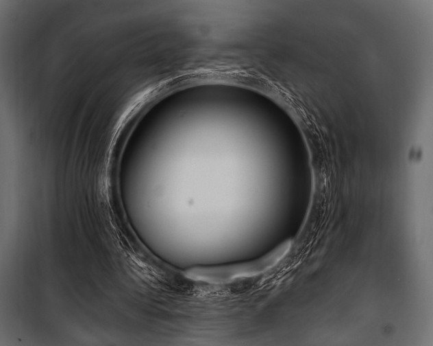 X0000100870340200806201246