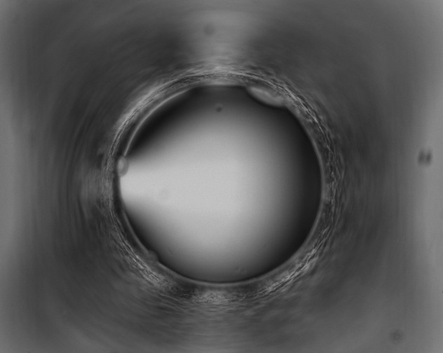 X0000100870341200806201246