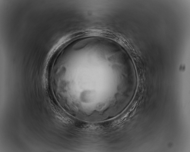 X0000100870343200806201246