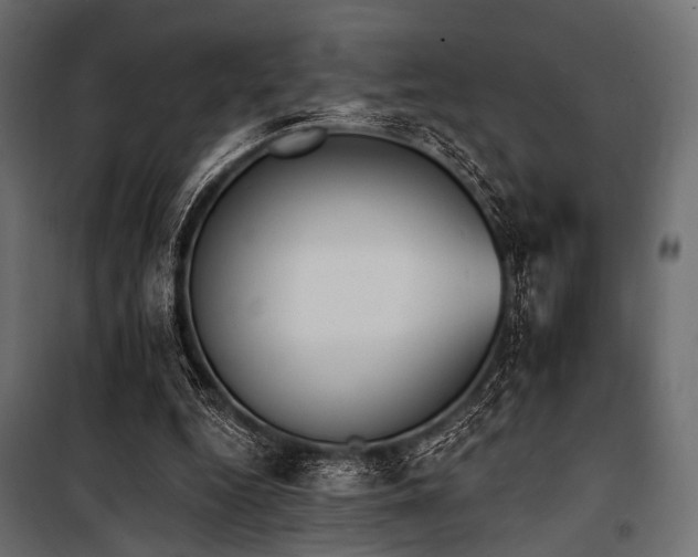 X0000100870344200806201246