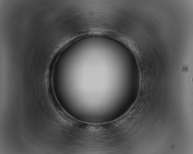 X0000100870346200806201246