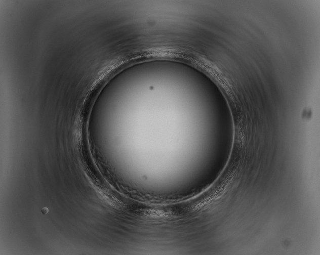 X0000100870347200806201246