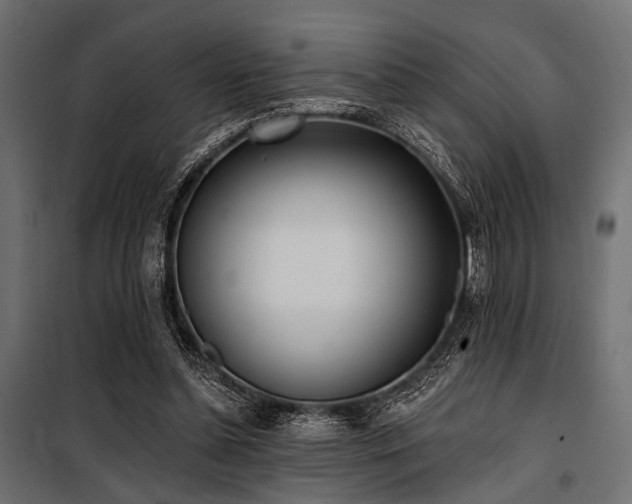 X0000100870348200806201246