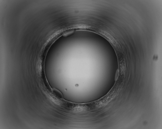 X0000100870350200806201246