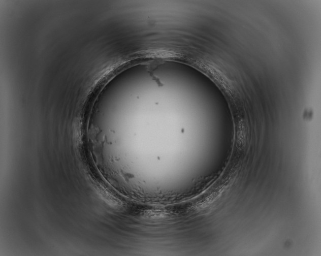 X0000100870351200806201246