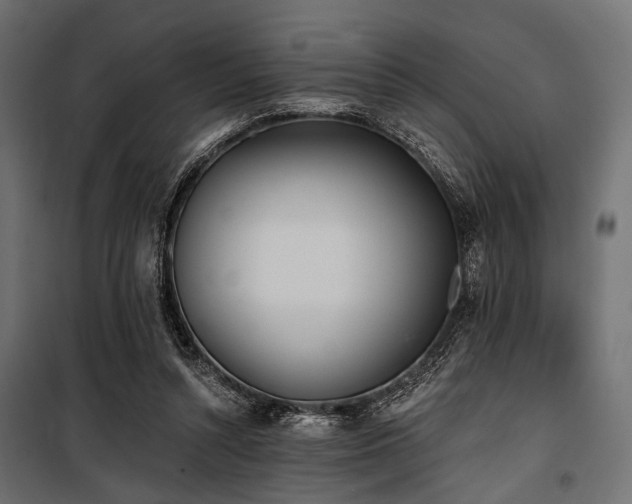 X0000100870352200806201246