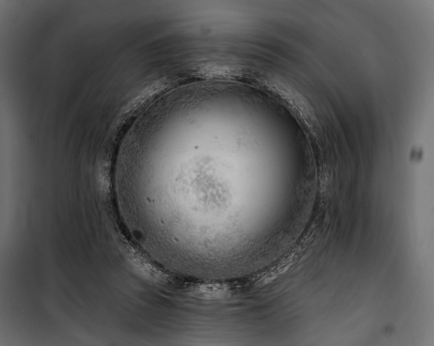 X0000100870353200806201246