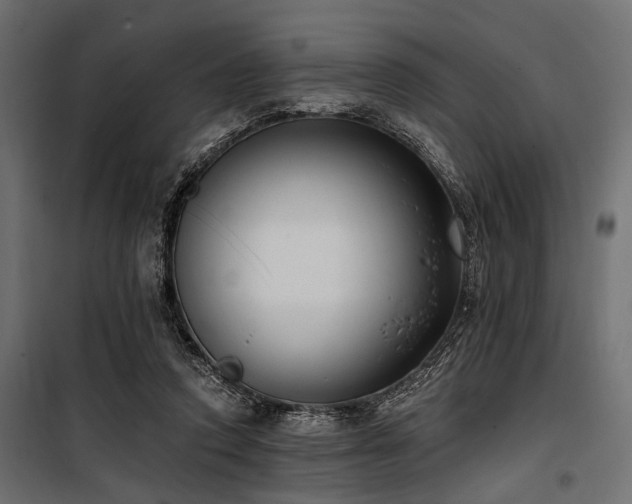 X0000100870354200806201246