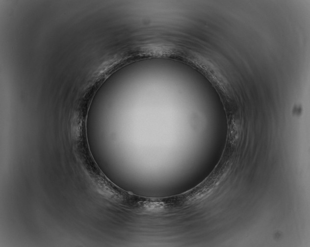 X0000100870355200806201246
