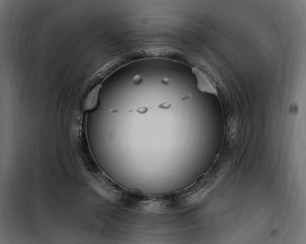 X0000100870356200806201246