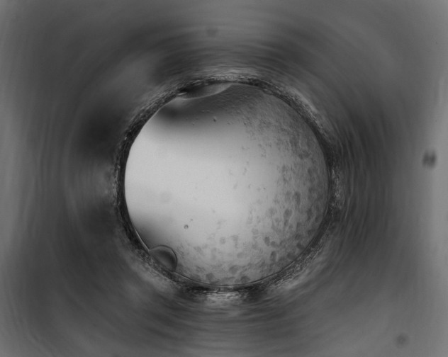 X0000100870357200806201246