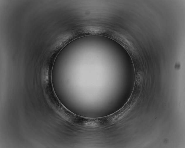 X0000100870358200806201246