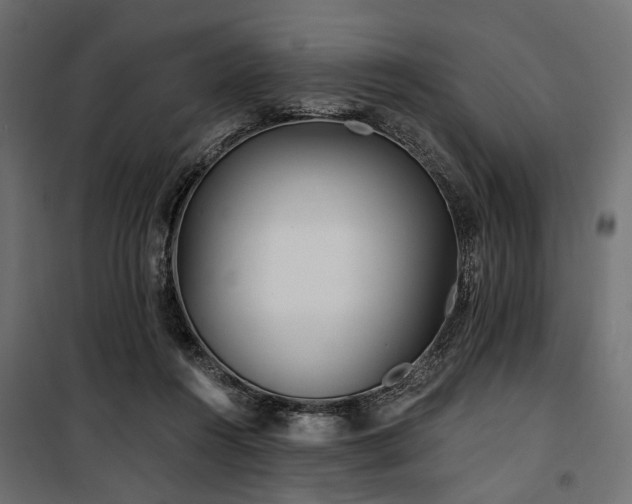 X0000100870360200806201246