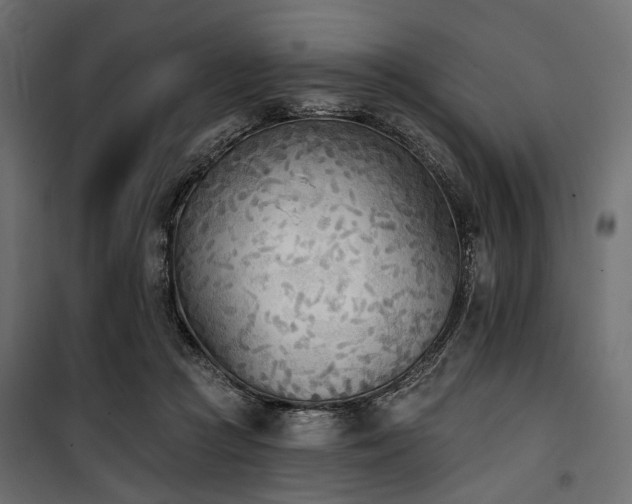 X0000100870361200806201246