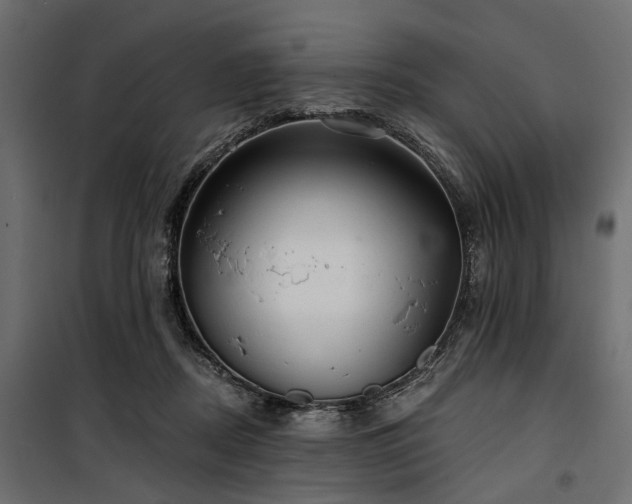 X0000100870362200806201246