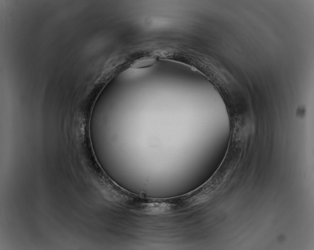 X0000100870363200806201246